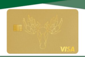 Bank Norwegian Visa Card: Ein umfassender Überblick