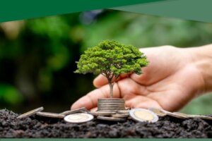 Nachhaltige Finanzierung
